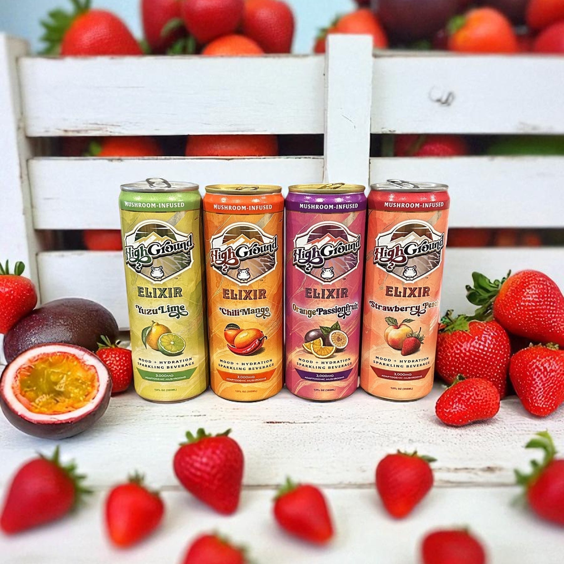 Welcome to High Ground Sparkling Adaptogenic Mushroom Beverages