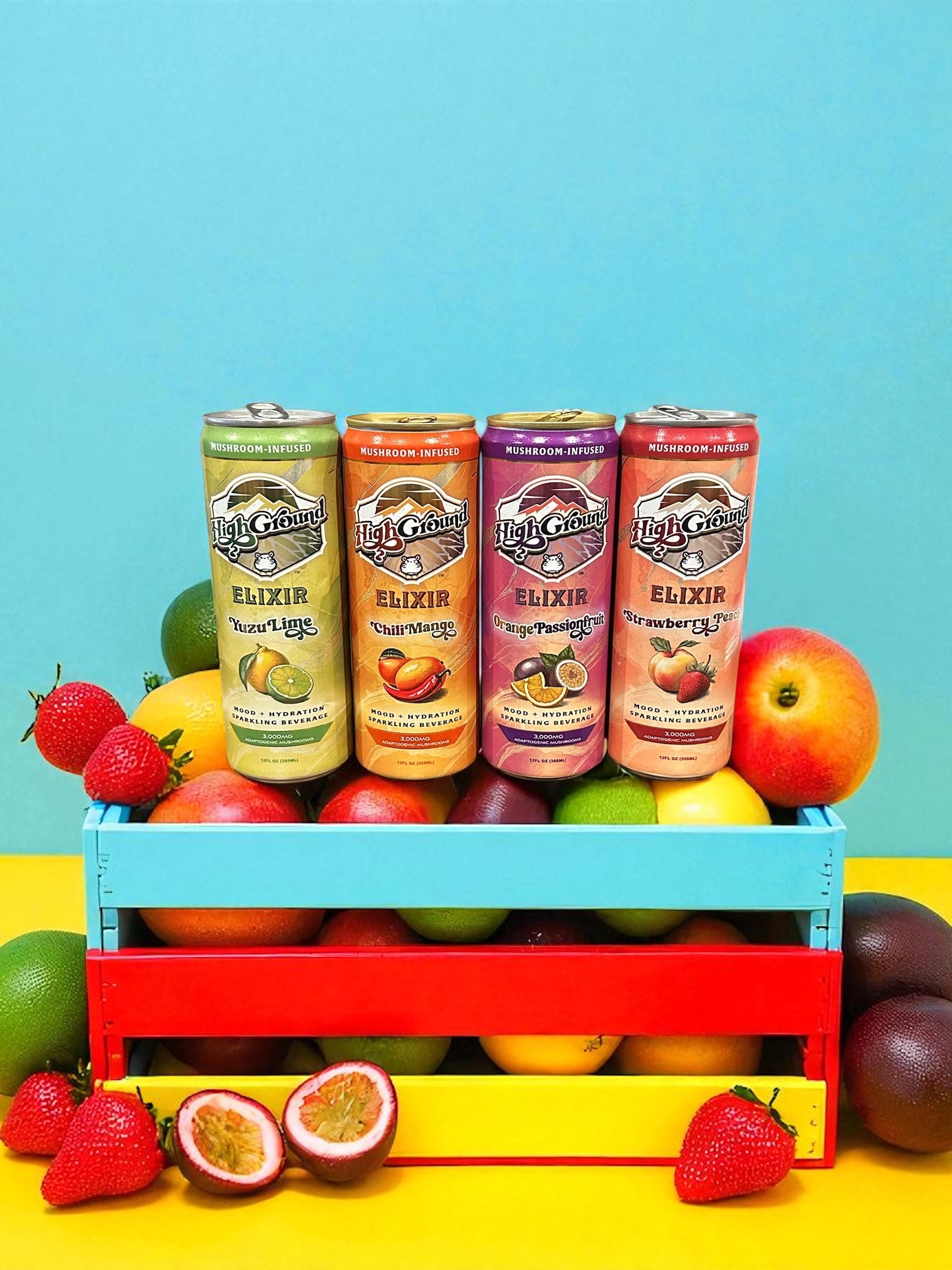 Adaptogenic Mushrooms Mood + Hydration Sparkling Drink - Orange Passio